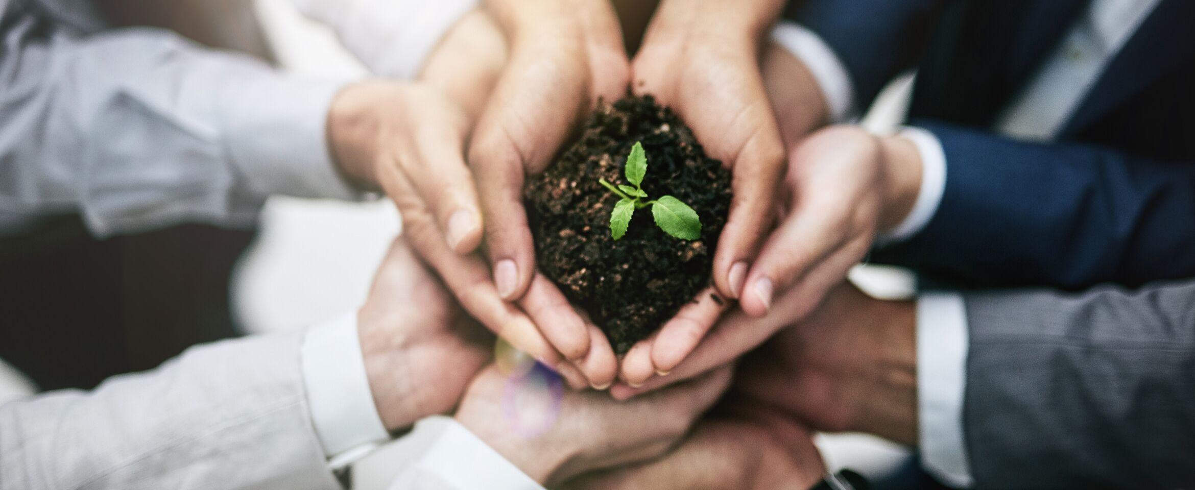 Lead Nurturing